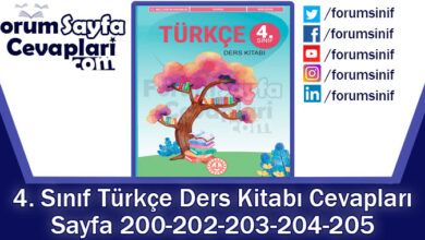 4. Sınıf Türkçe Ders Kitabı 200-202-203-204-205. Sayfa Cevapları MEB Yayınları