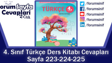 4. Sınıf Türkçe Ders Kitabı 223-224-225. Sayfa Cevapları MEB Yayınları