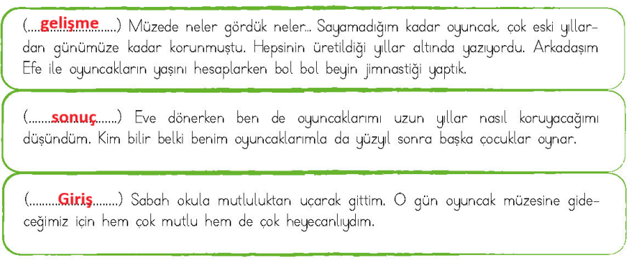4. Sınıf Türkçe Ders Kitabı 206-207-208-209. Sayfa Cevapları MEB Yayınları