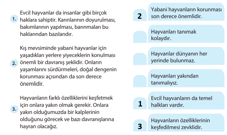 5. Sınıf Türkçe Ders Kitabı Sayfa 244-245-246 Cevapları KOZA Yayınları