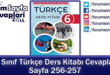 6. Sınıf Türkçe Ders Kitabı 256-257. Sayfa Cevapları ANKA Yayınevi